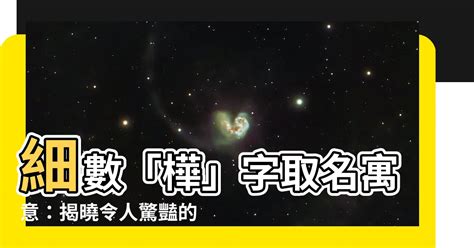 樺名字|【樺名字意思】細數「樺」字取名寓意：揭曉令人驚豔的樺樹意涵。